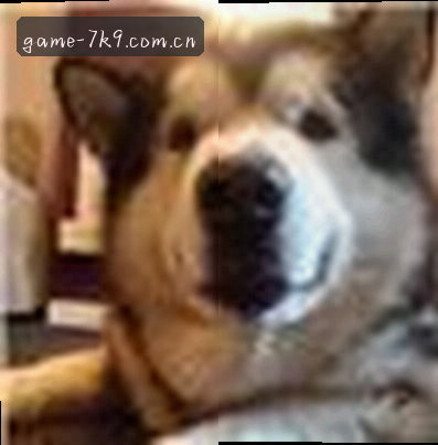陈毅